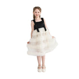 Black & Ivory Sophia Party Dress