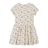 Girls Knit Seersucker Bubble Dress | Blush Floral