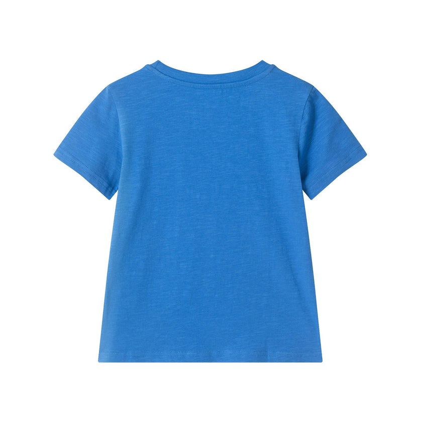 Boys Graphic Tee | Surfing Dino