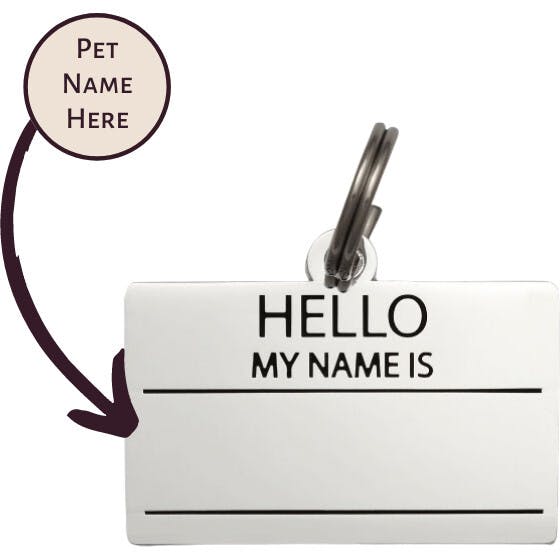 Hello My Name is Pet ID Tag