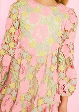 Estella Embroidered Mini Dress