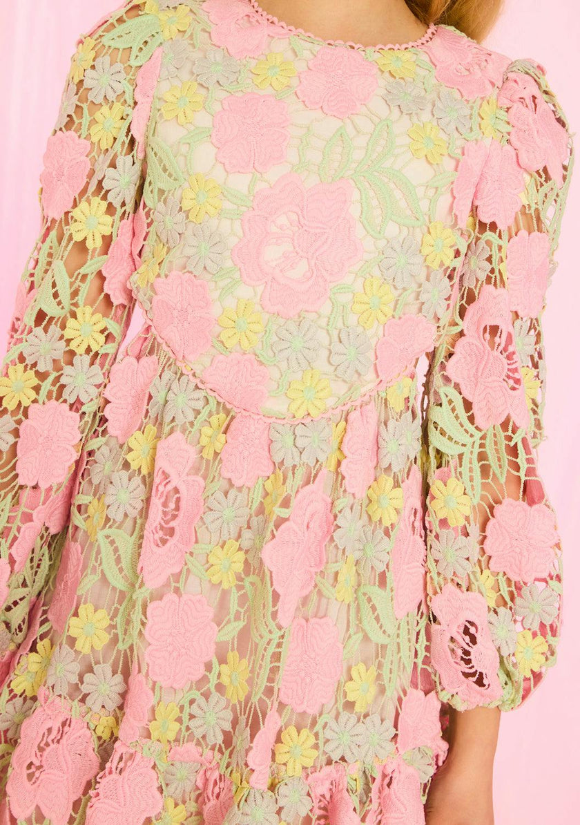 Estella Embroidered Mini Dress