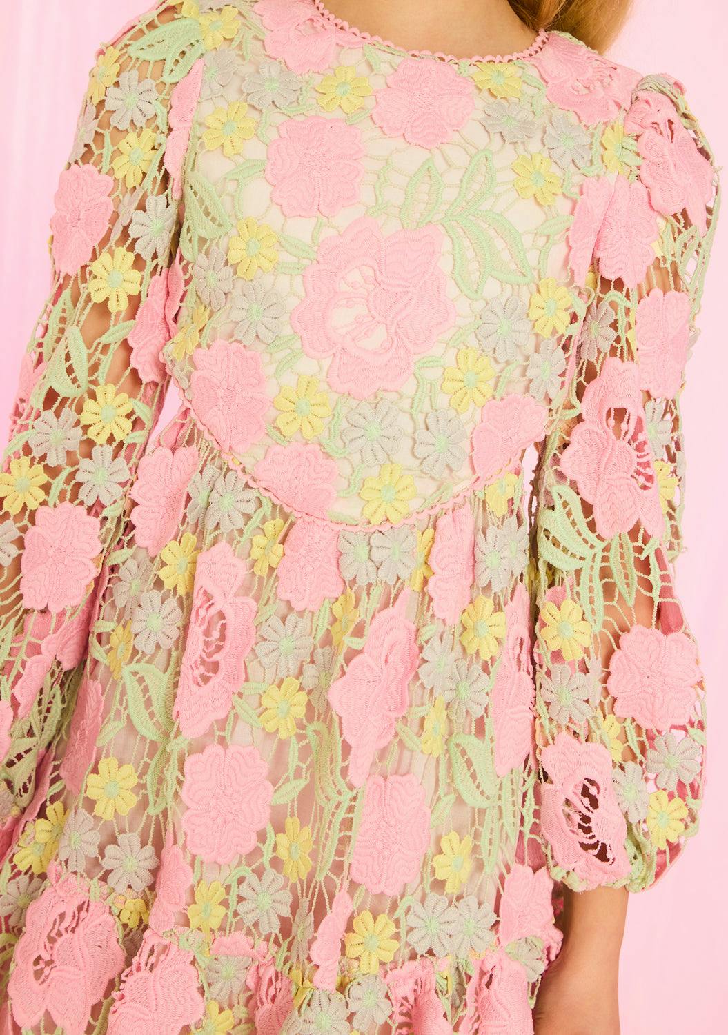 Estella Embroidered Mini Dress