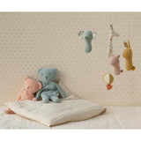 Teddy - Rose