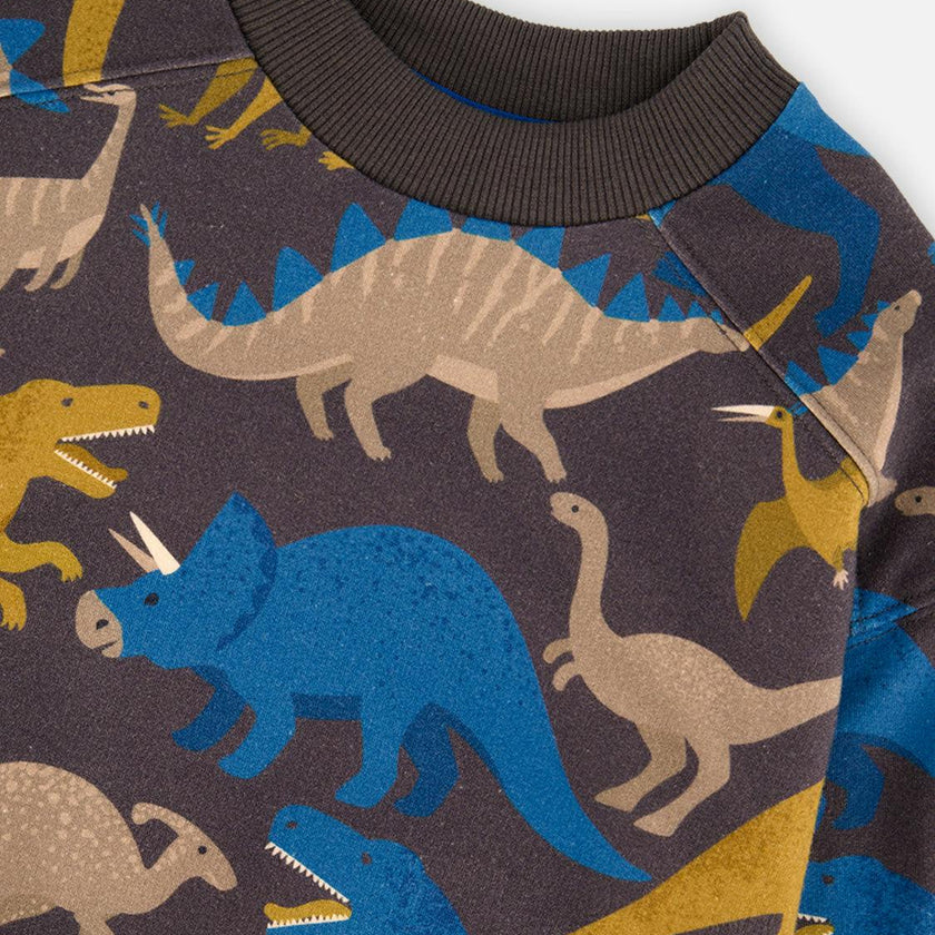 Fleece Sweatshirt Grey Dinosaur Print