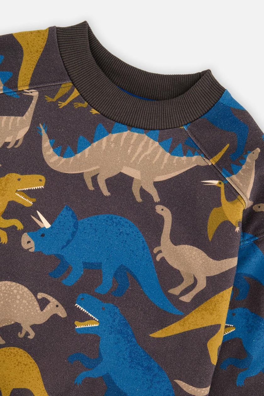 Fleece Sweatshirt Grey Dinosaur Print