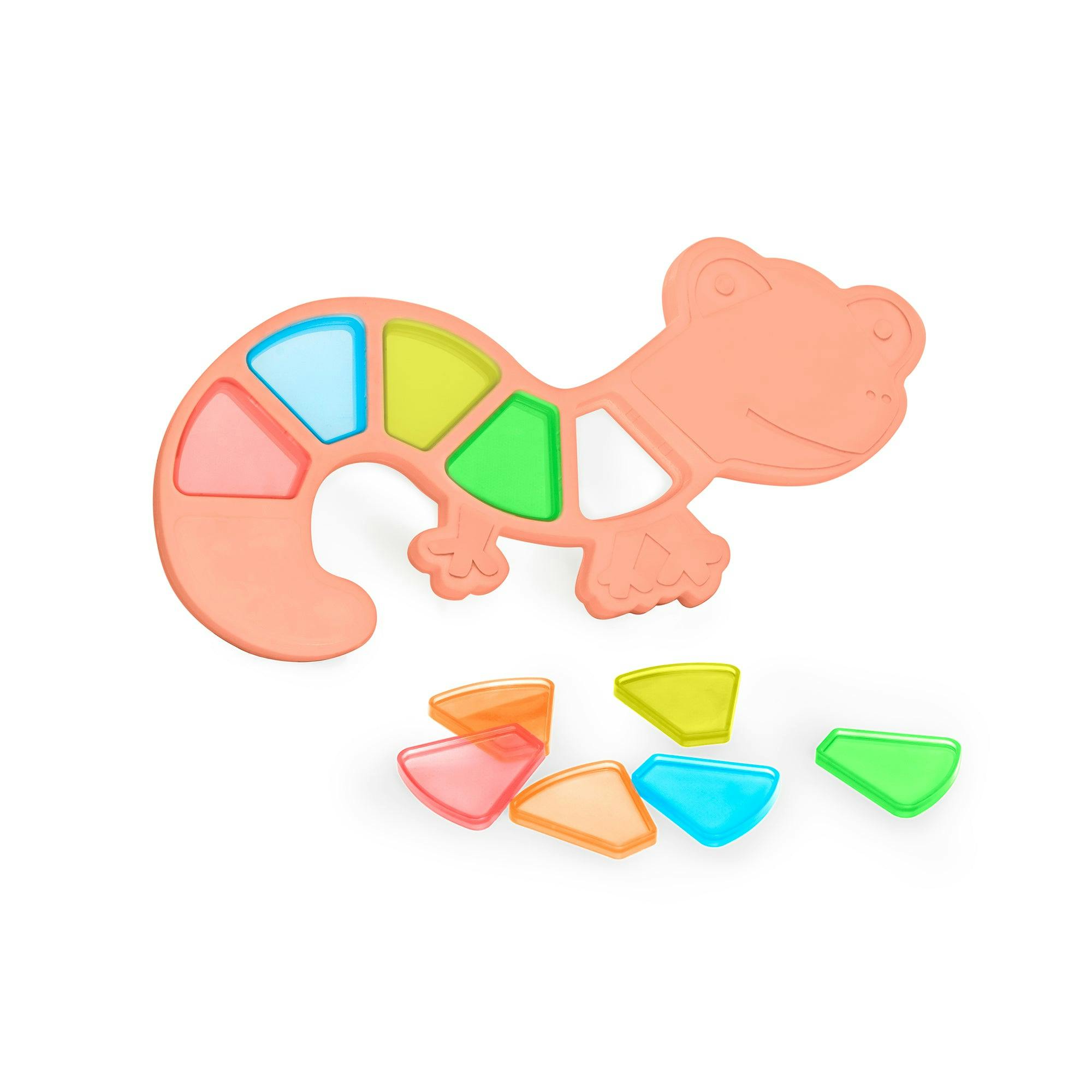 Feel to Learn: Translucent colorful Lizard
