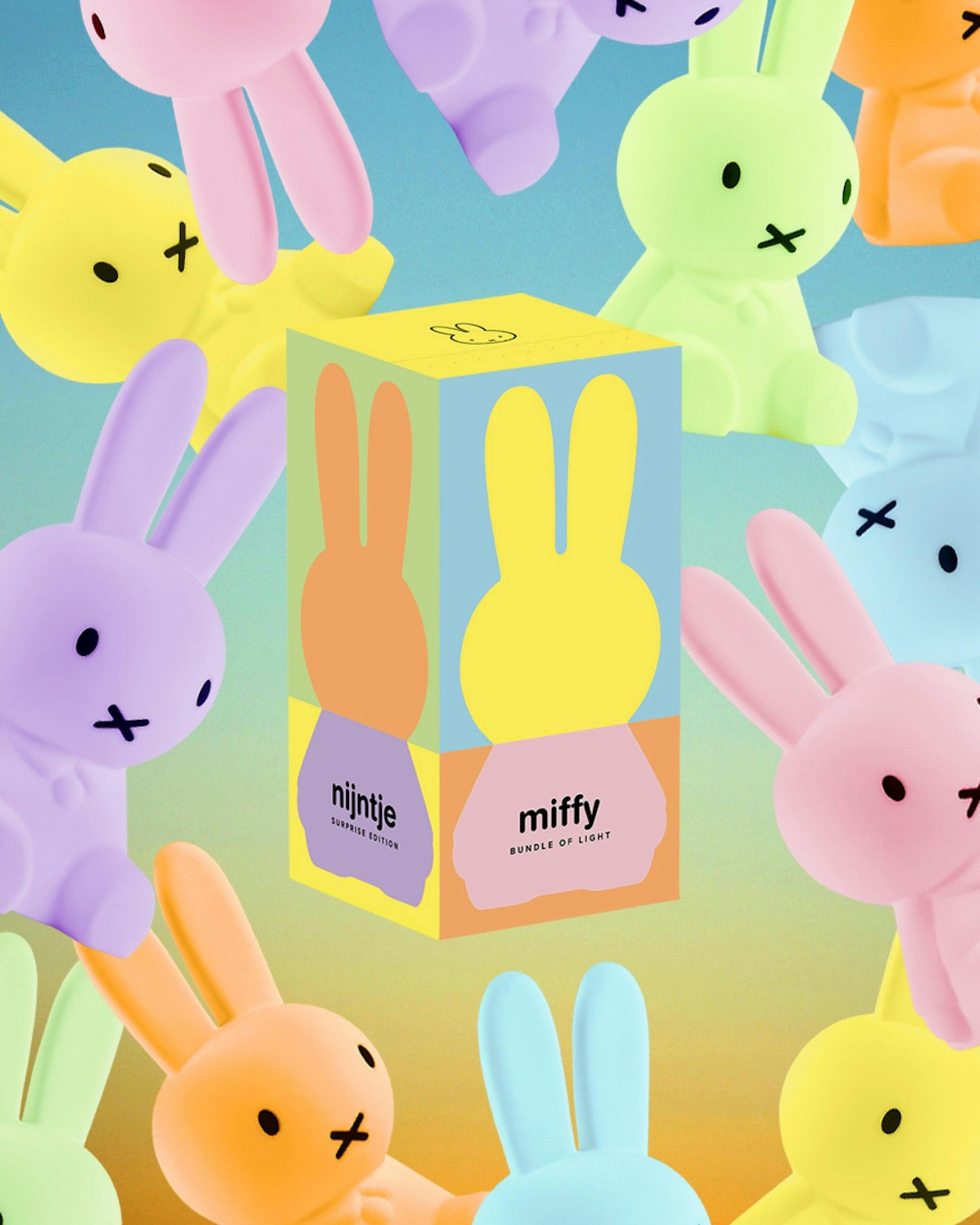Mr Maria Miffy Colourful Surprise Bundle of Light