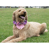 Disney Rapunzel Collar, Purple