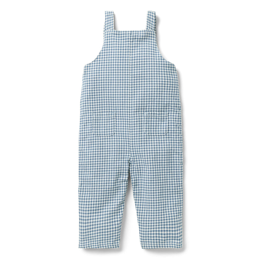 Baby Gingham Dog Overall, blue