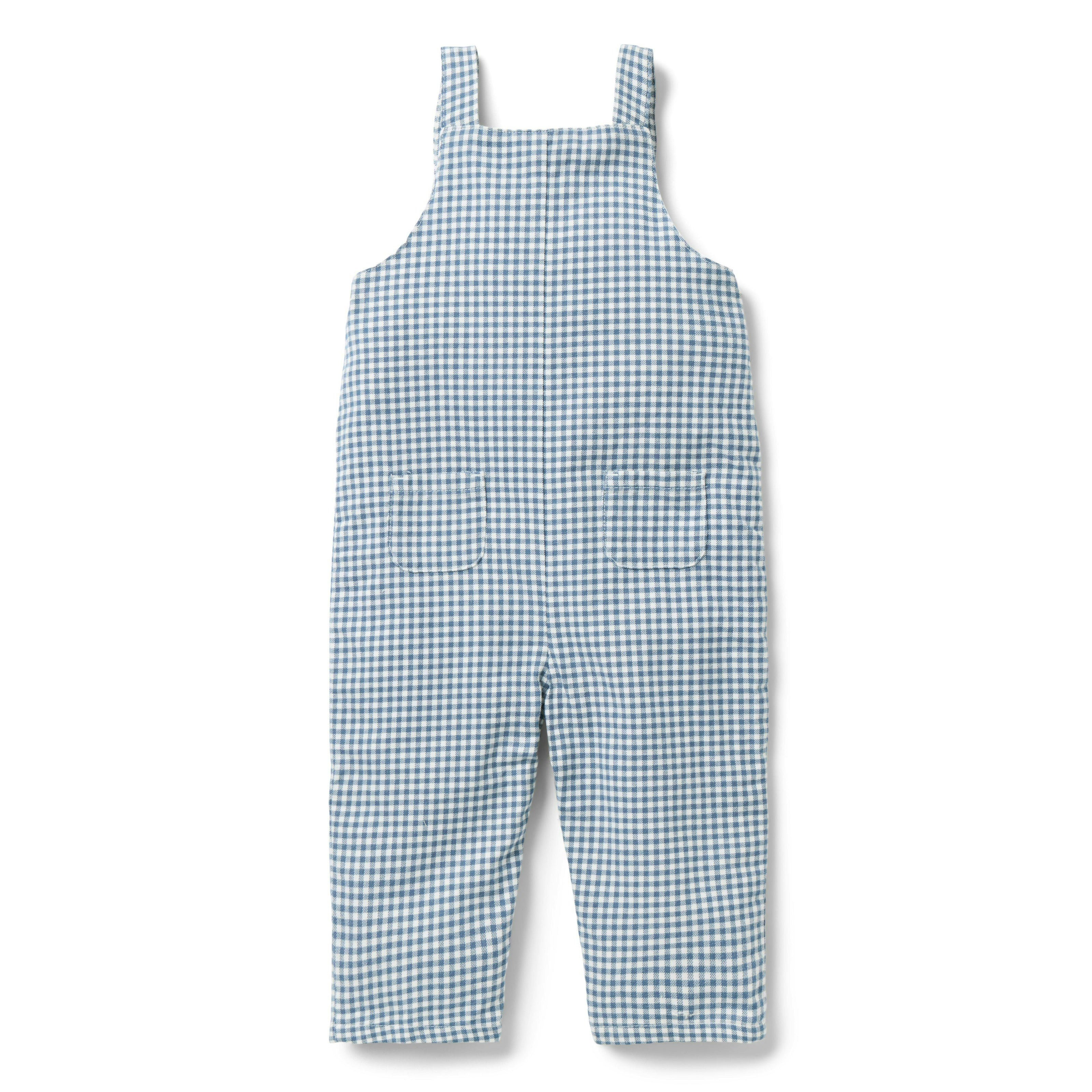 Baby Gingham Dog Overall, blue