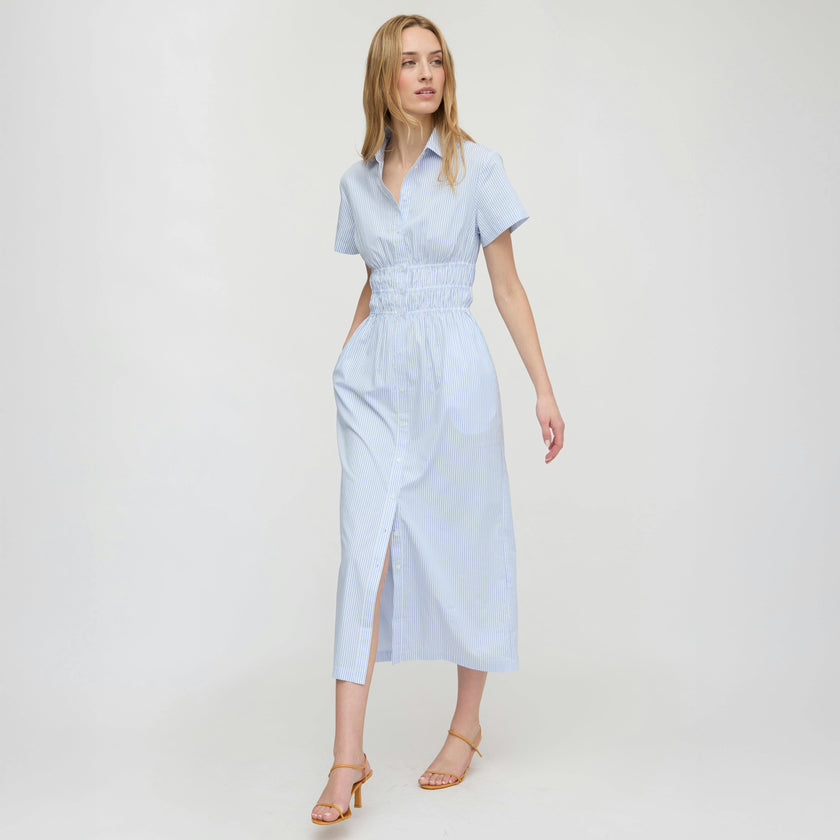 The Jamie Nap Dress - Blue/White Stripe