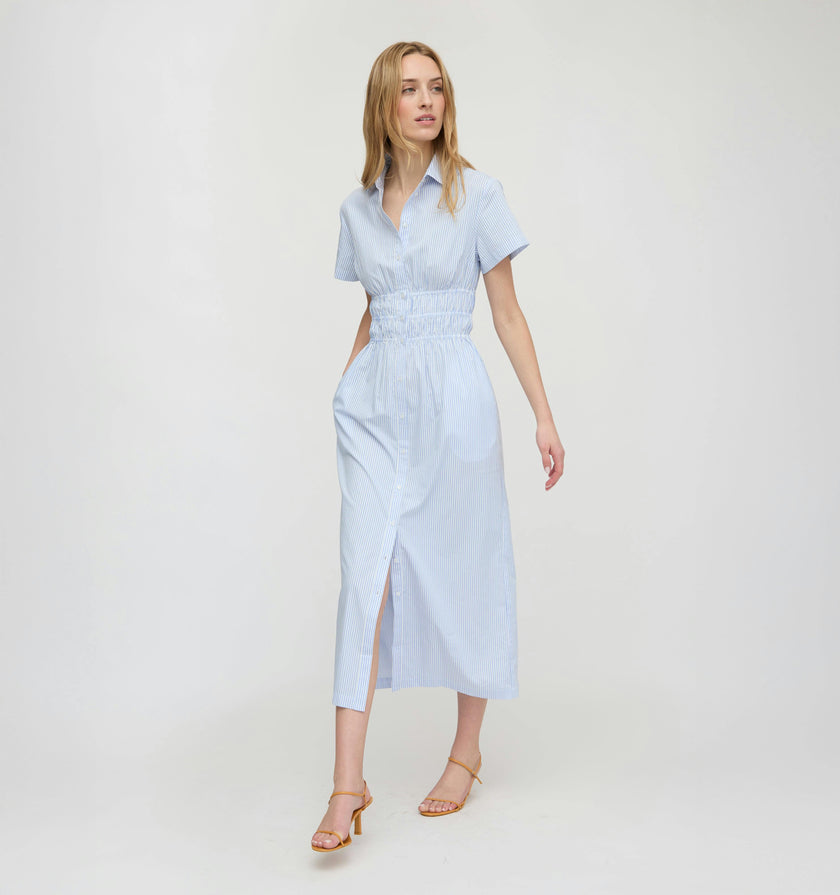The Jamie Nap Dress - Blue/White Stripe