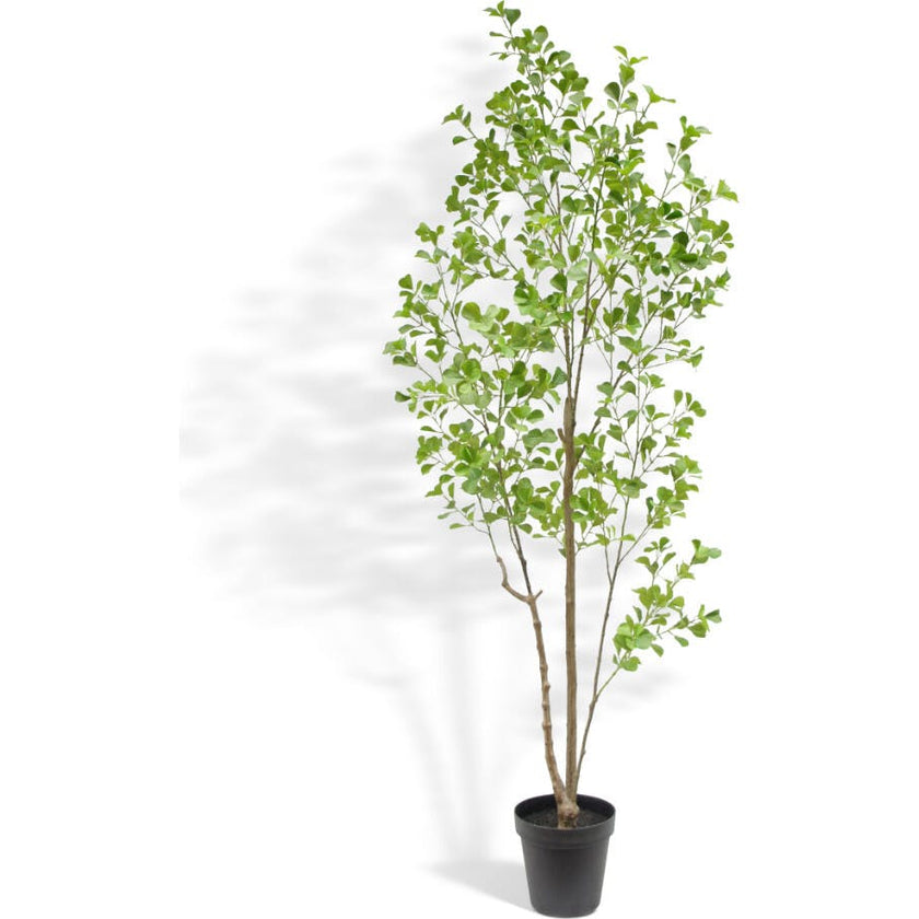 7' Artificial Heart Ficus Tree