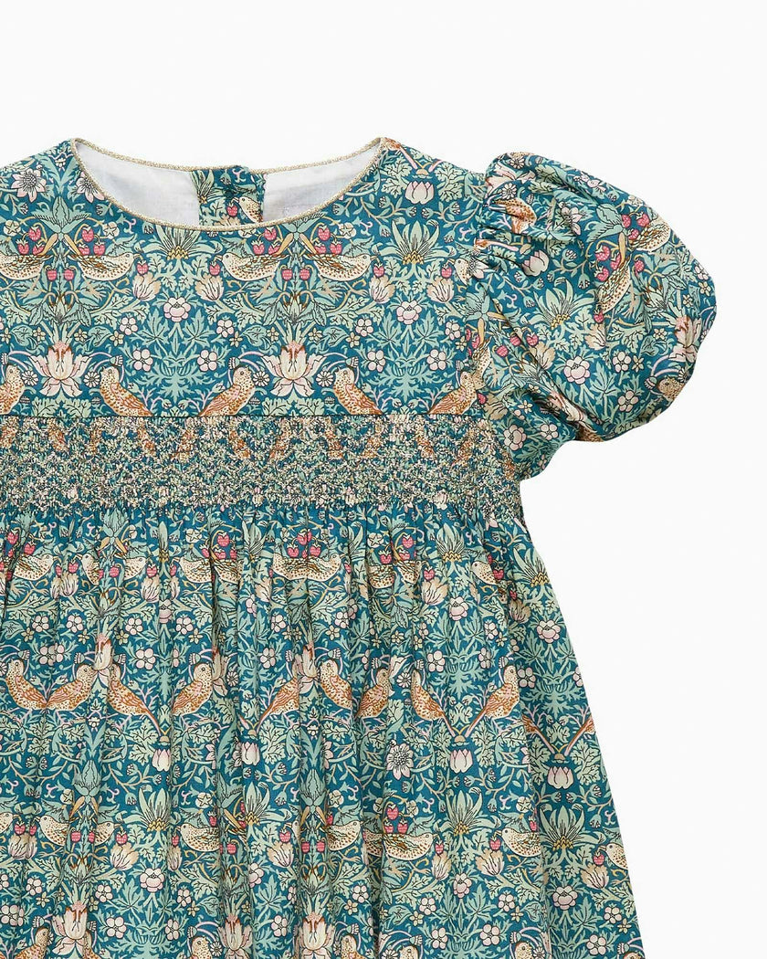 Baby Party Dress in Strawberry Thief