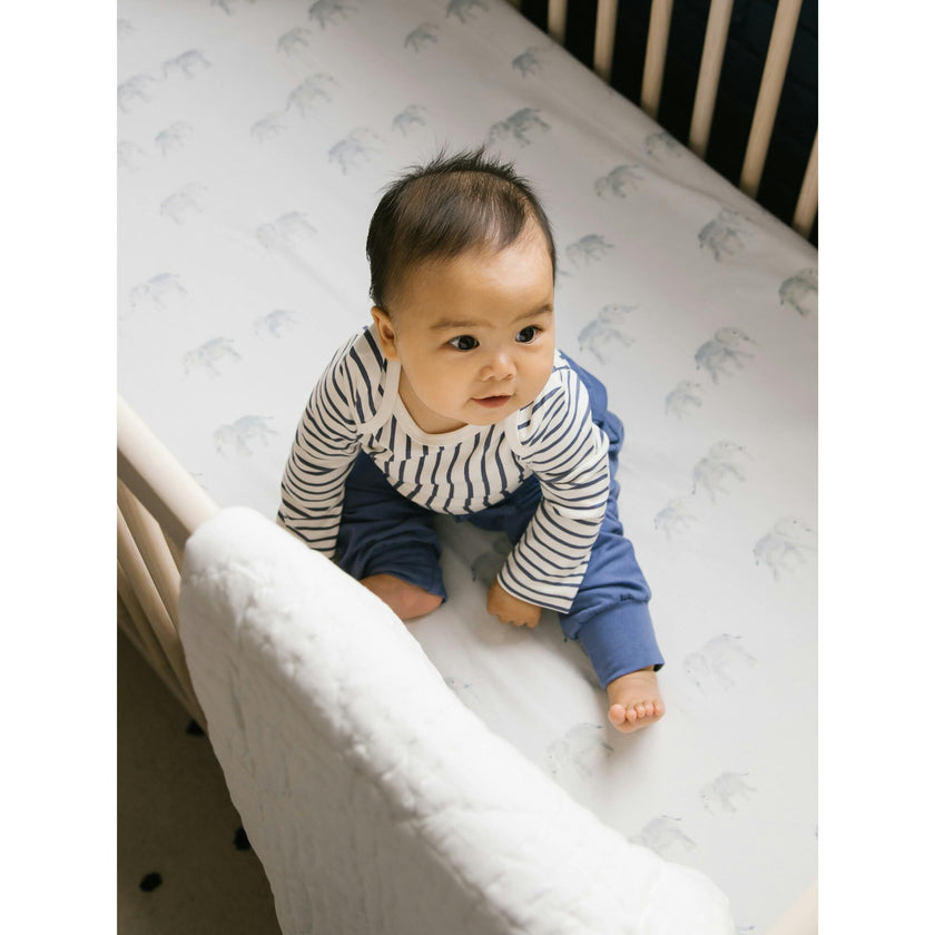Follow Me Organic Cotton Crib Sheet