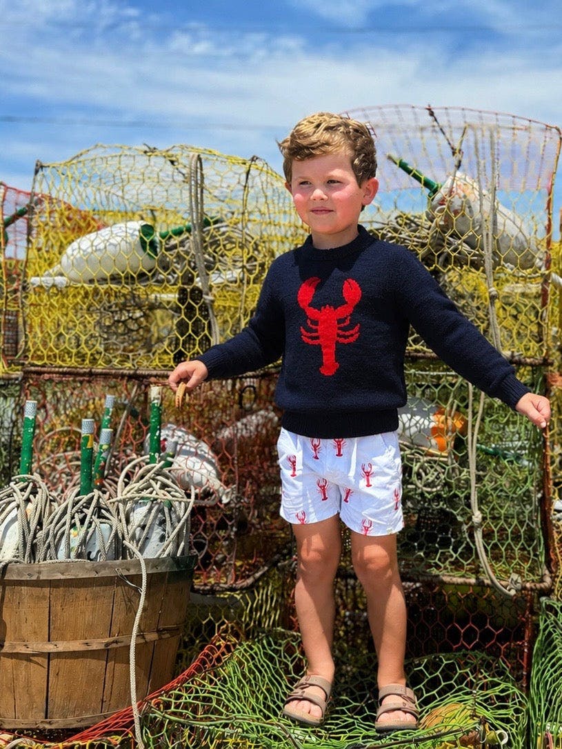 SNAPPY Navy Lobster Sweater