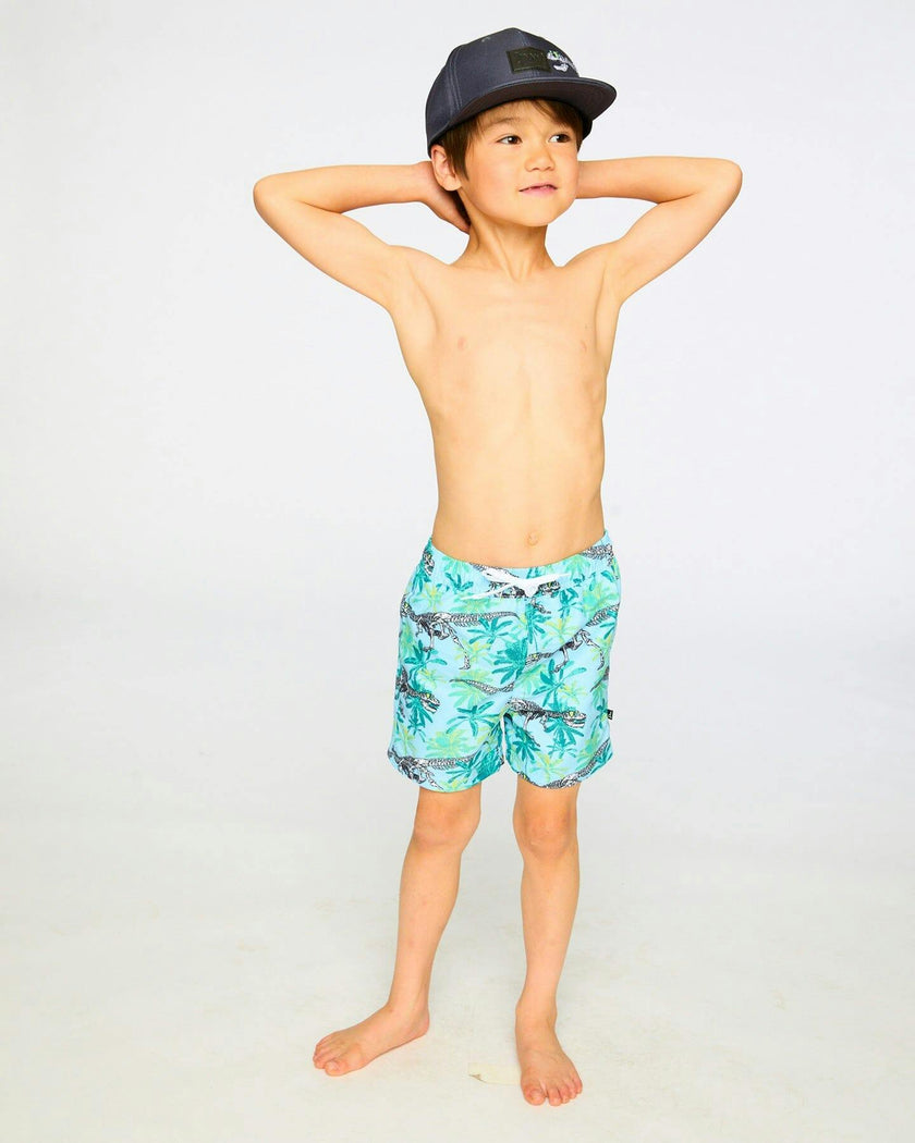 Boardshorts