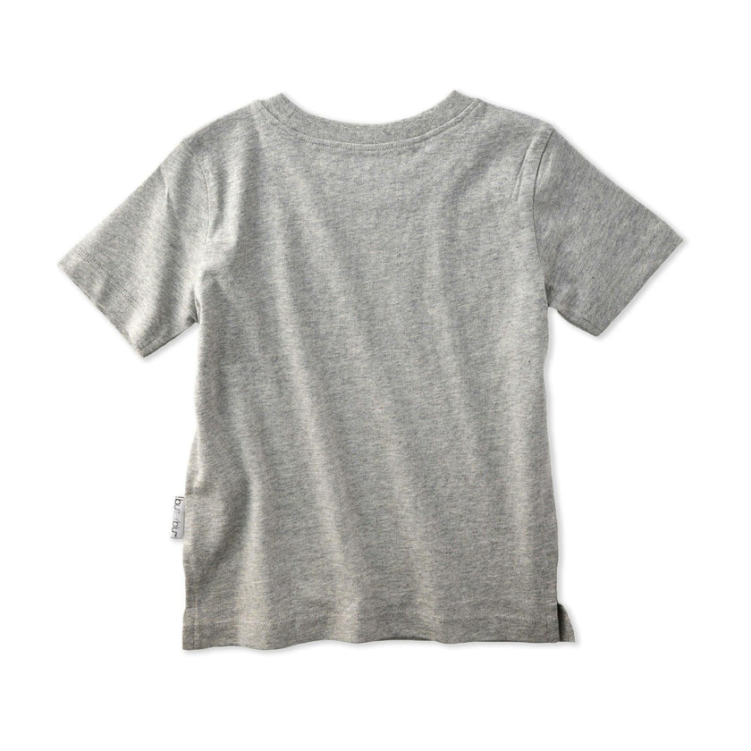 TAYLOR 5-Pack Toddler Short Sleeve T-Shirts