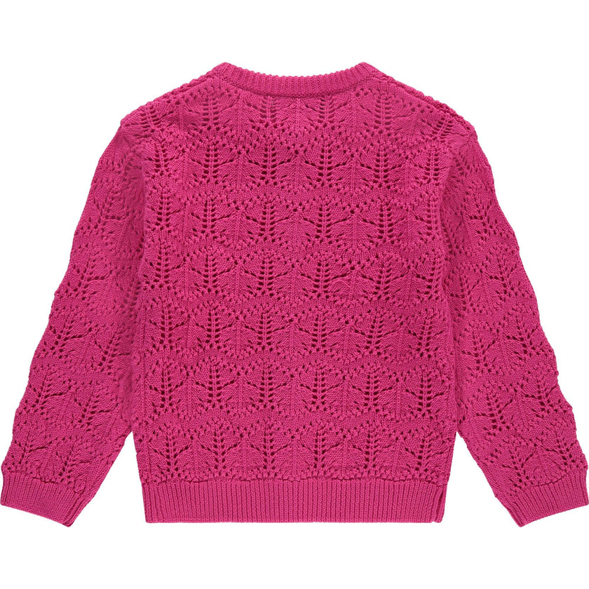 Knit Cardigan