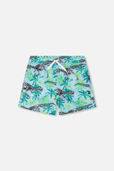 Boardshorts