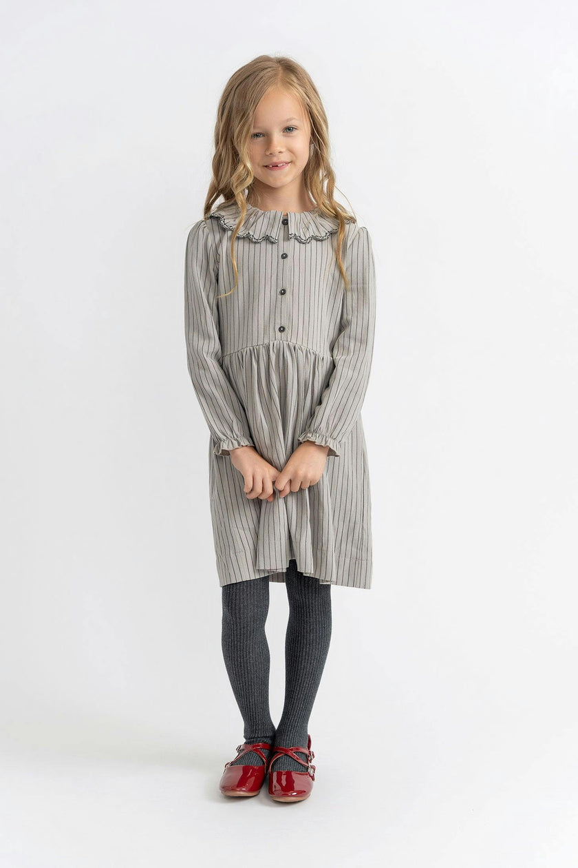 Woven Striped Embroidered Button Front Dress