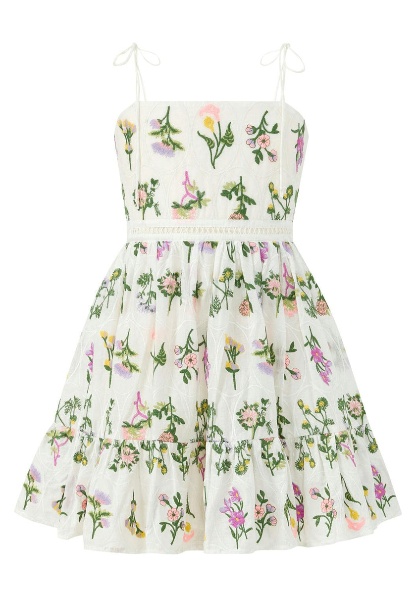 Emely Embroidered Mini Dress