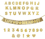 Customizable Gold Fringe Party Banner