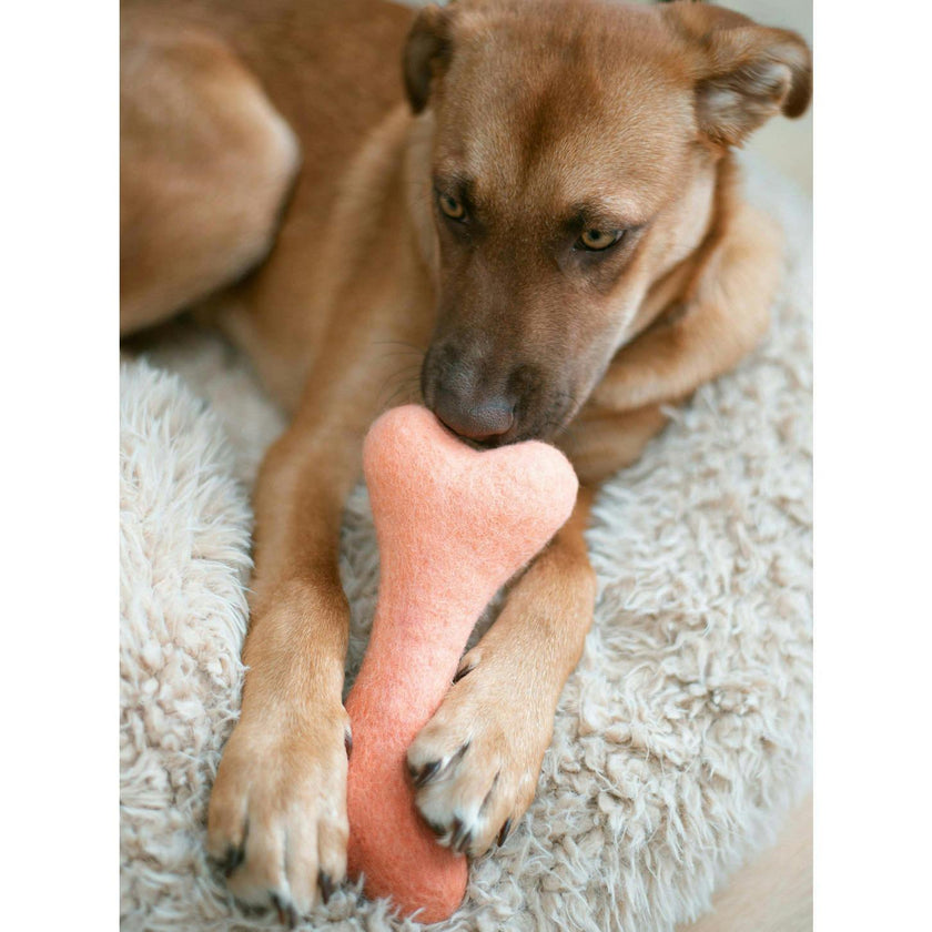 WOOL OMBRE BONE, Pink
