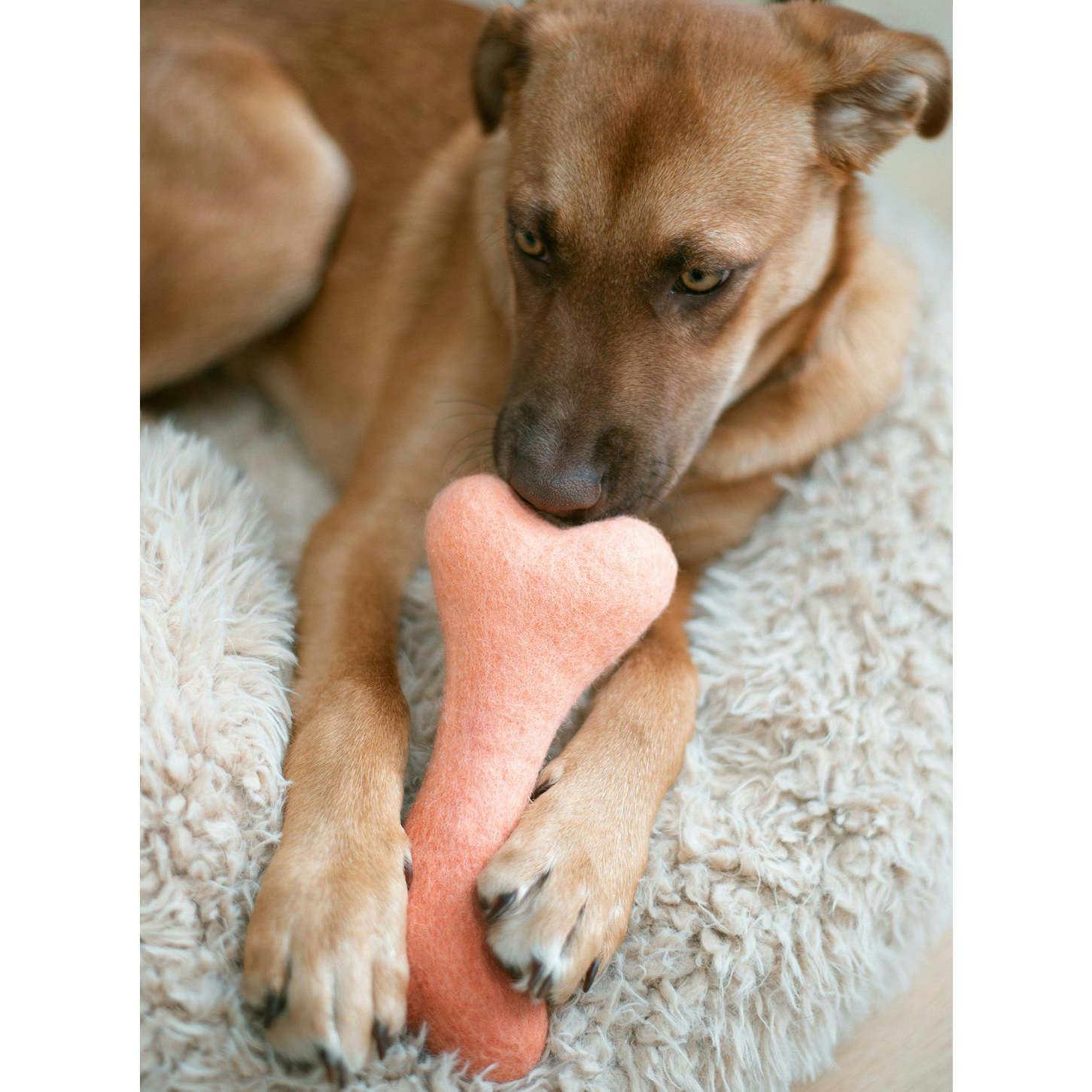WOOL OMBRE BONE, Pink