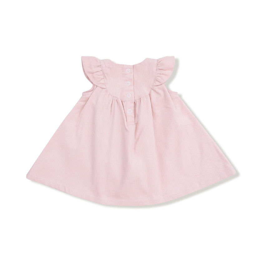 Veiled Pink - Scoop Yoke with Ruffle Dress + Bloomer