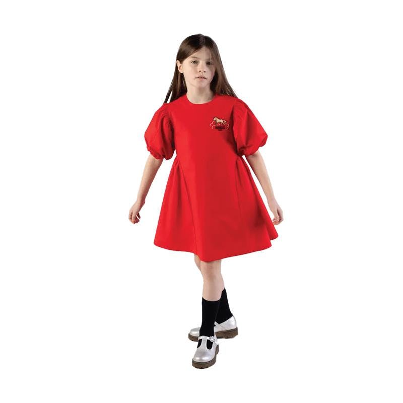 Lunar New Year' Embroidered Dress in Poplin