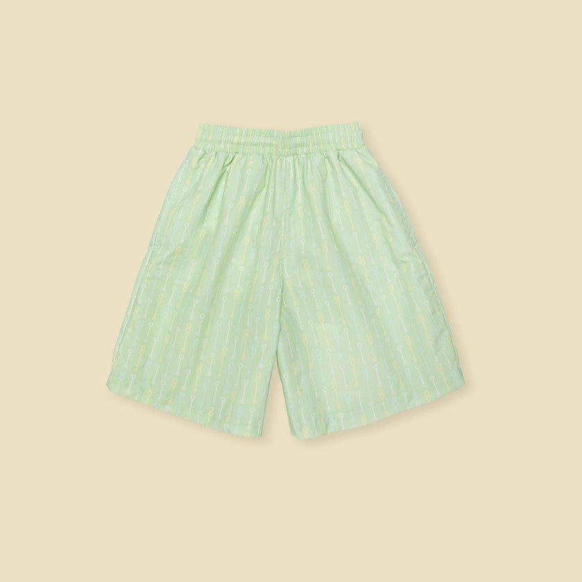 Board Shorts in Pistachio Wand