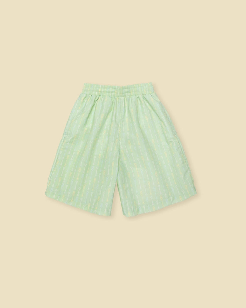 Board Shorts in Pistachio Wand