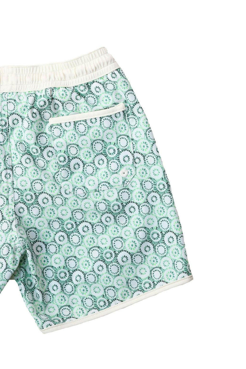 Swim Short Tommaso Jellyfish Print In Mint and Sage