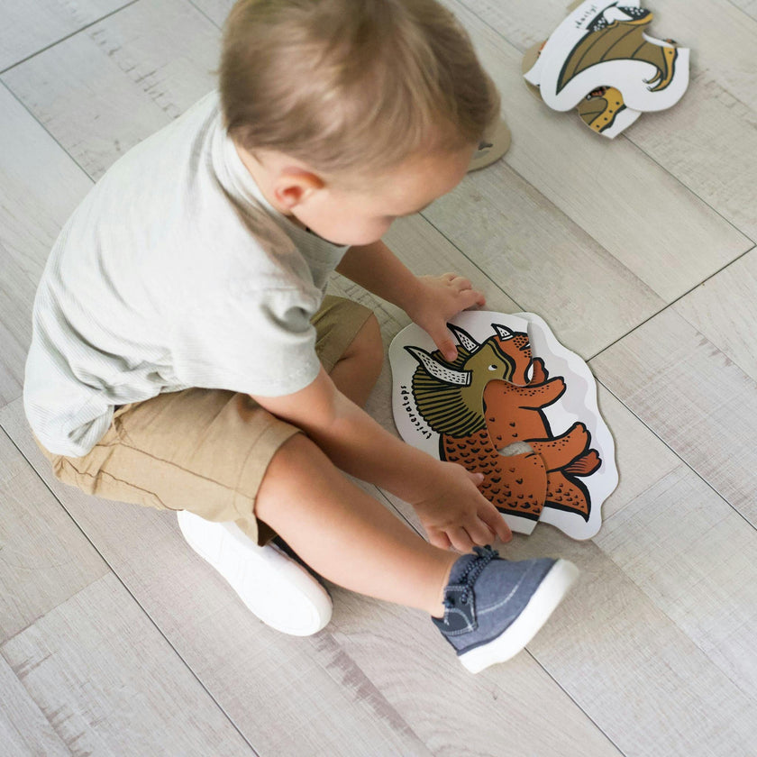 BEGINNER PUZZLES - DINOS