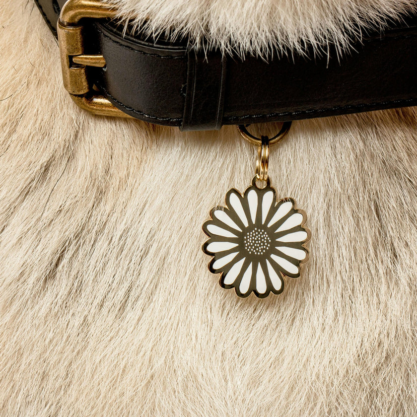 Daisy Pet ID Tag