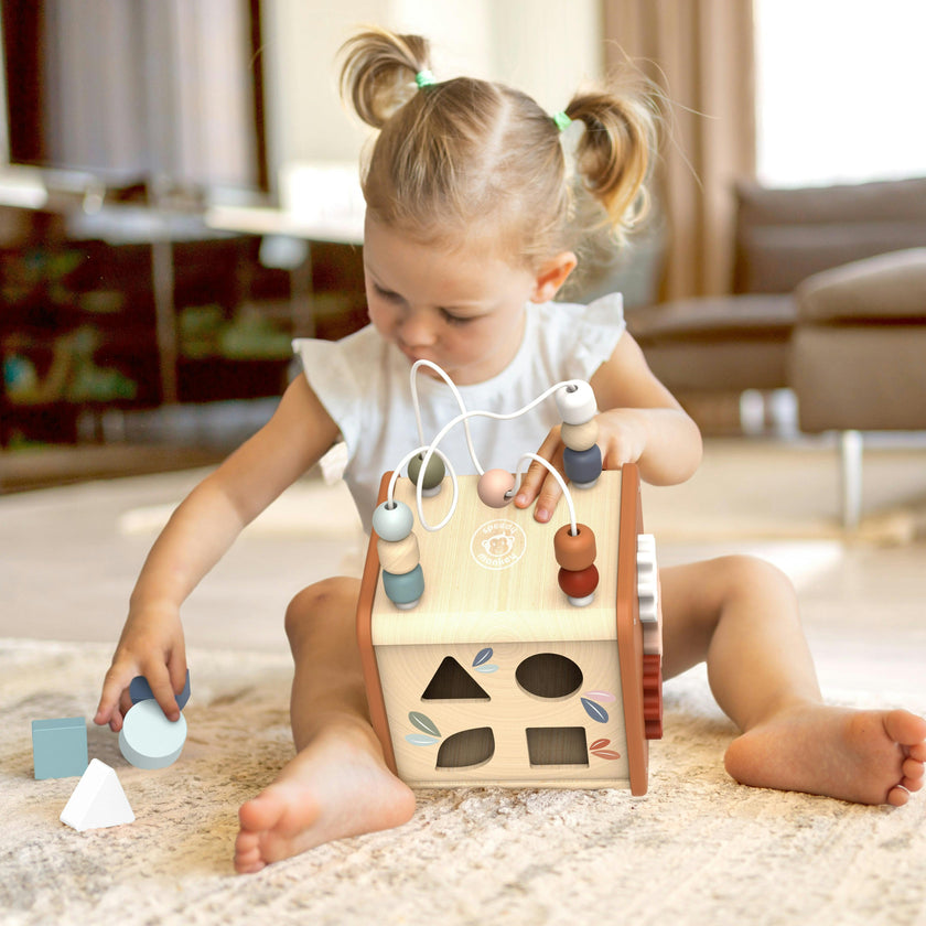 5 in 1 Activity cube