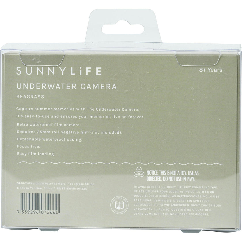 Underwater Camera: Seagrass
