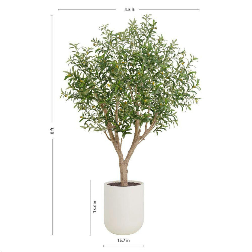 8' Olive Tree Potted in White Stone Pot
