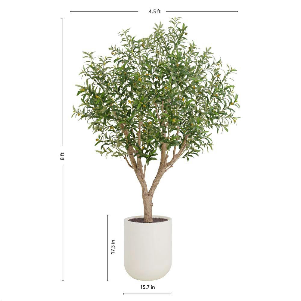 8' Olive Tree Potted in White Stone Pot