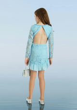 Sabina Embroidered Mini Dress