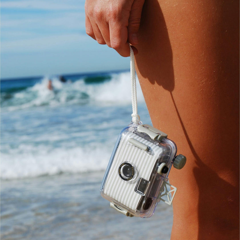 Underwater Camera: Seagrass