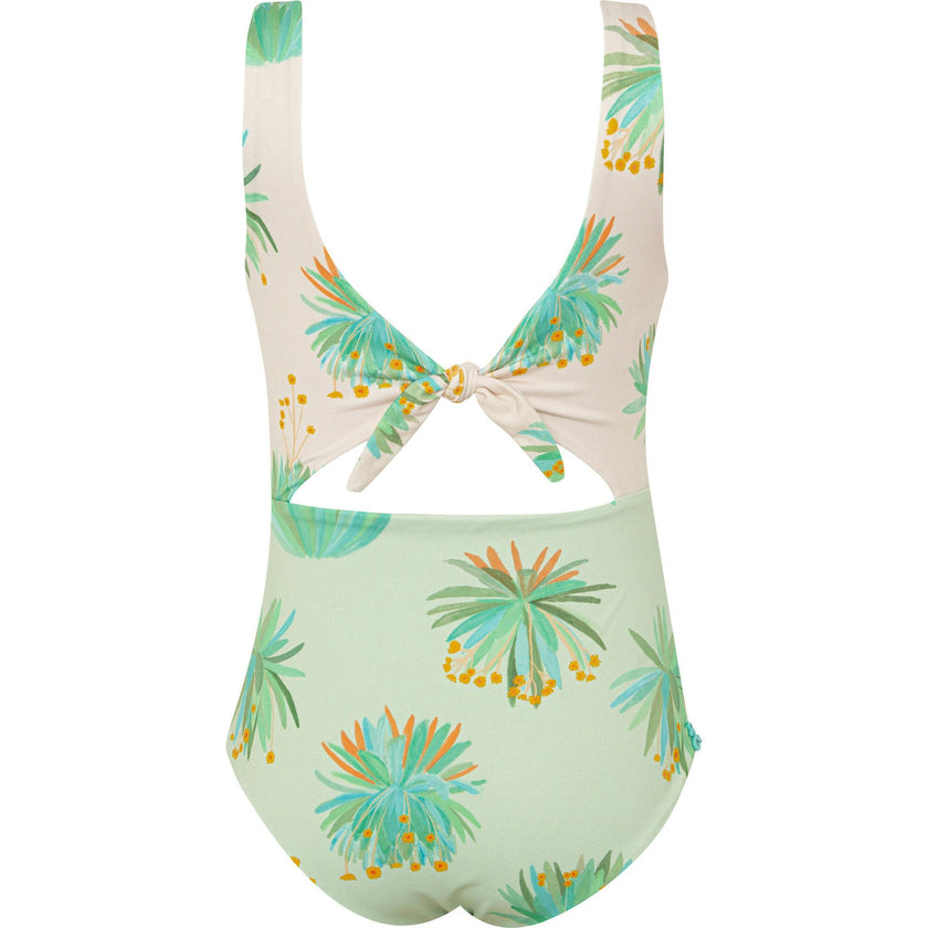 FRAILEJONES CRUDO - TRIKINI ABI
