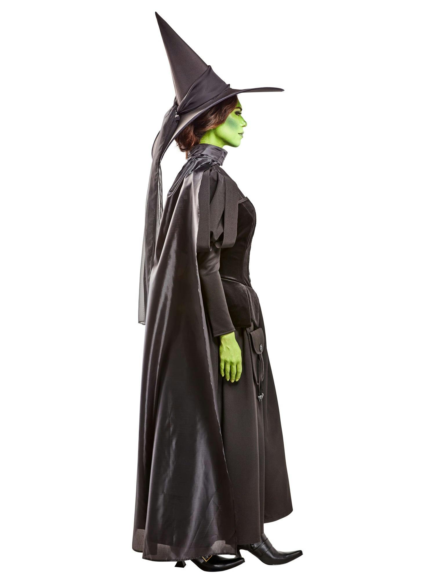 Women's The Wizard of Oz Wicked Witch Costume - Deluxe