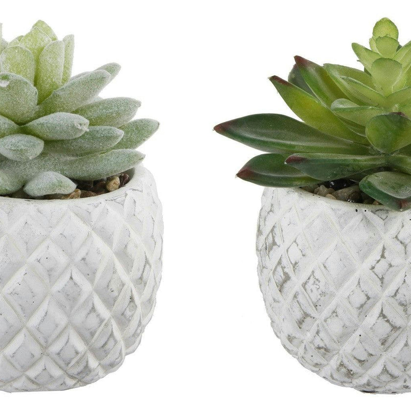 Pineapple Pot Faux Succulents