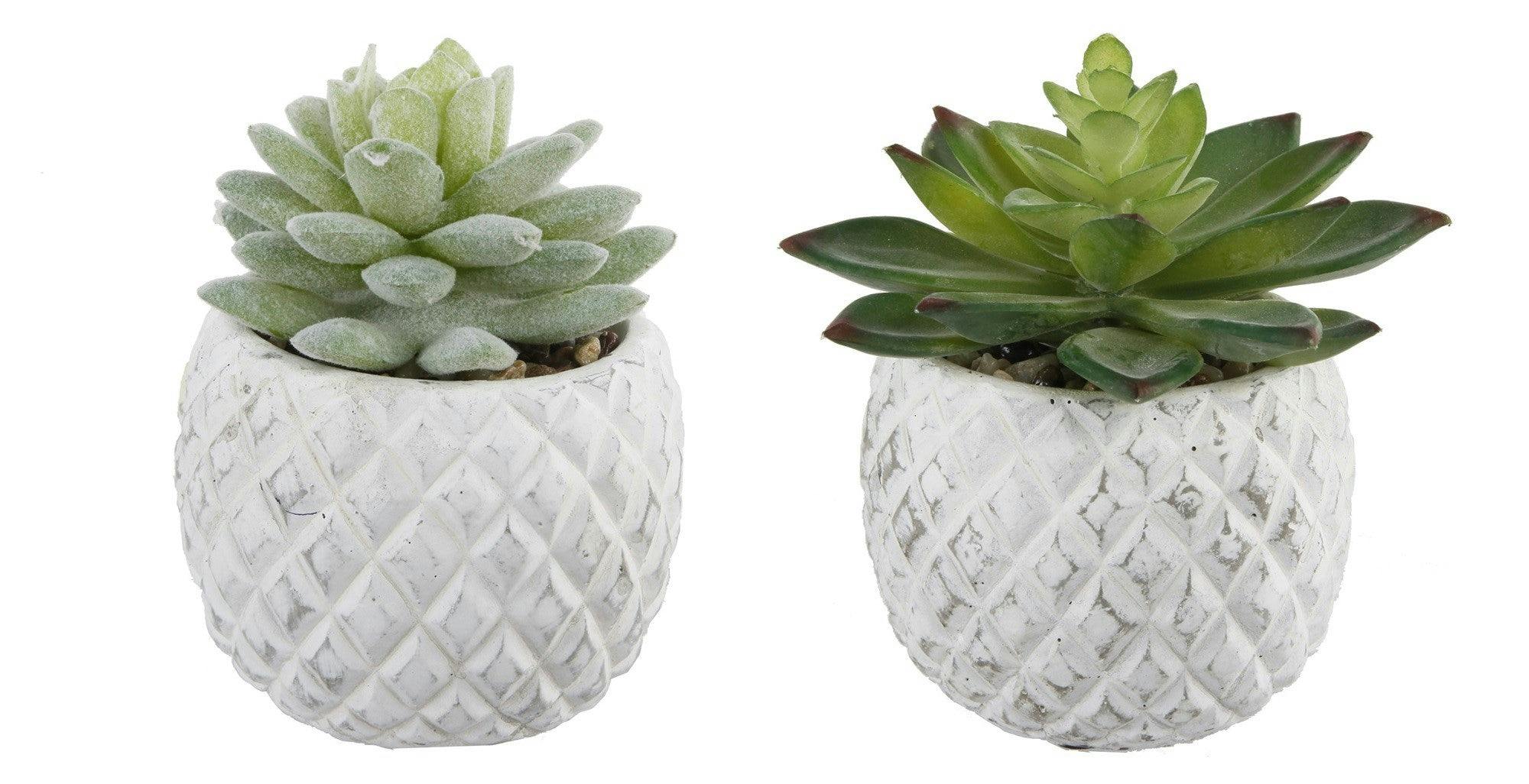 Pineapple Pot Faux Succulents