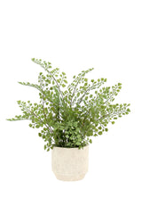 16" Faux Snake Plant & Fern Set