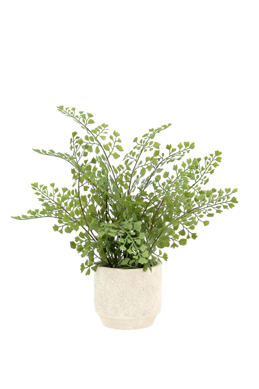 16" Faux Snake Plant & Fern Set
