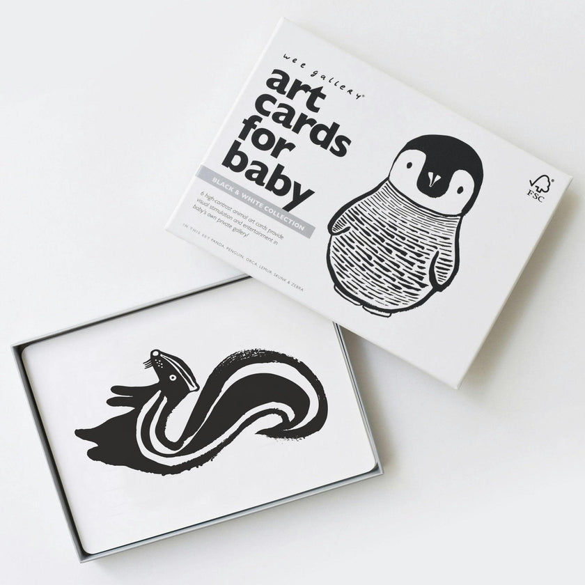 Black and White Art Cards for Baby